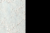 Sub-Kilometer Well-Preserved Impact Crater with Extensive Secondaries