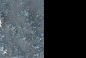 Terrain Sample