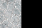 Bright and Dark Fans on Patterned Ground Dubbed Troy