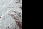 Terrain Sample in Australe Lingula