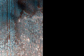 Dune Monitoring in Crater