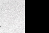 Terrain Sample in Cavi Angusti