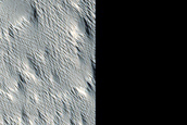 Flow Front Morphology