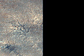 Terrain Sample in Ultimi Scopuli
