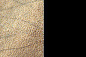 Wrinkle Ridge Intersecting Crater Ejecta Blanket