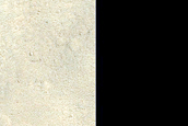 Small Delta or Fan