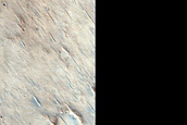 Terrain Sample