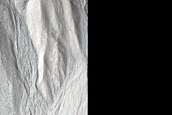 Gullied Crater Wall