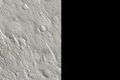 Isidis Planitia