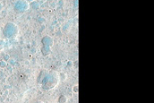 Albedo Monitoring in Melas Dorsa