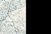 Longitudinally Aligned Cones in Phlegra Montes