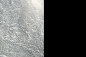 Terrain Sample in Nepenthes Mensae