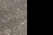 Terrain Sample