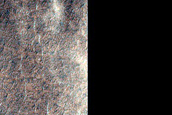 Seasonal Frost Distribution