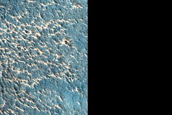 Terrain Sample