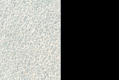 Crater Monitoring