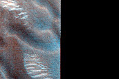 Dune Monitoring