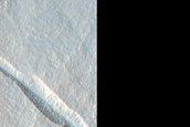 Gully Monitoring