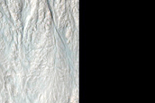 Large East Facing Gully