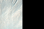 Gullied Crater Wall