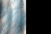 USGS Dune Database Entry Number 1389-680