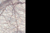 USGS Dune Database Entry Number 1177-668
