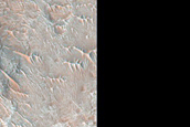 Terrain Sample