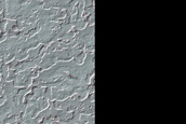 South Polar Residual Cap Intraseasonal Change Monitoring