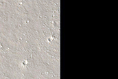 Candidate Recent Impact Site