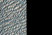 Olivine-Rich Plains in Terra Sabaea