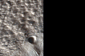 Terrain Sample