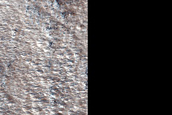 Impact Monitoring in Phlegra Montes