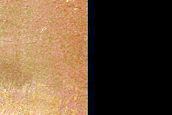 Exposure of South Polar Layered Deposits