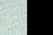Terrain Sample