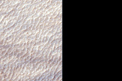 Dust-Raising Event and Streak Monitoring in Hellas Planitia