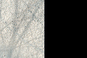 Terrain Sample