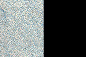 Terrain Sample