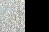 Terrain Sample