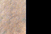Terrain Sample