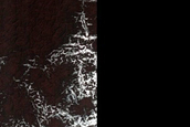 Terrain Sample