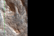 Mawrth Vallis Phyllosilicates