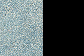 Terrain Sample