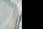 Monitoring Dust Devil Tracks