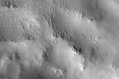 Daedalia Planum