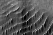USGS Dune Database Entry Number 1988-611