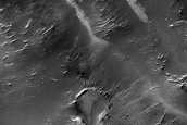 Terrain Sample