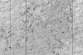 Seasonal Monitoring near Dorsa Argentea