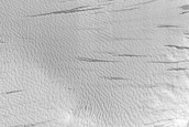 Slope Streak Monitoring in Nicholson Crater