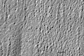 USGS Dune Database Entry Number 1820-731