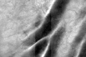 USGS Dune Database Entry Number 1219-601